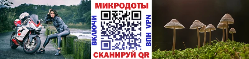 дарк нет клад  кракен маркетплейс  Шимановск  Псилоцибиновые грибы Magic Shrooms 