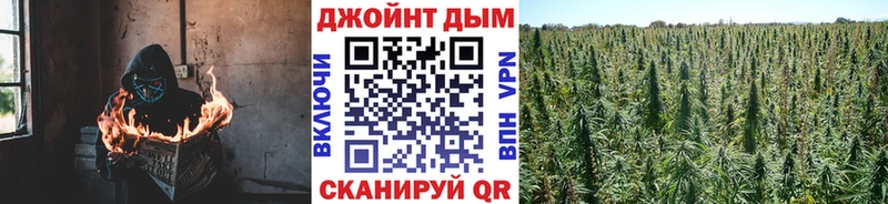 Бошки марихуана Ganja Шимановск